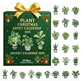 Scatola misteriosa per il calendario dell'Avvento 2025, scatola per il conto alla rovescia di Natale per 24 giorni con mini piante grasse, piante aeree ed erbe, regalo botanico ecologico per gli