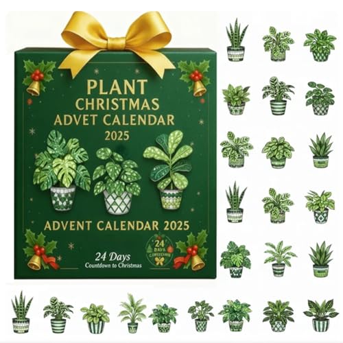 Caja misteriosa con calendario de Adviento de plantas 2025, caja de cuenta regresiva de Navidad de 24 días con mini suculentas, plantas de aire y hierbas, regalo botánico ecológico para los amantes de