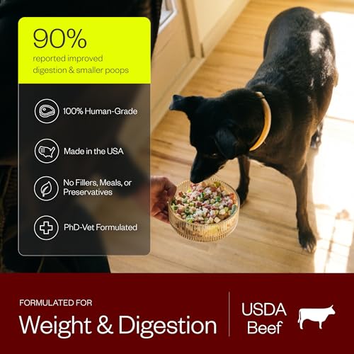 Maev Human-Grade Frozen Fresh Beef Dog Food, Weight & Digestion, 10 lb | High-Protein, Grain-Free, Whole-Ingredient Raw Food for Dogs | Complete & Balanced Meal or Topper | Made in USA - Image 4