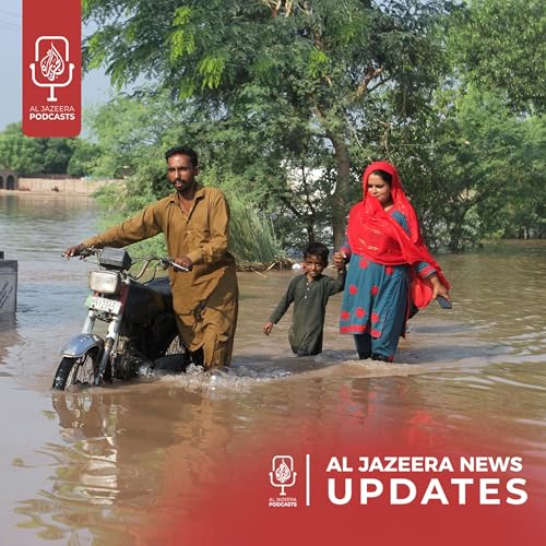 Gaza's forced displacement crisis, 4 million affected by Pakistan floods