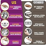 Raised cat Bowls for Indoor Cats by WinTruffles, Elevated cat Bowls, Tilted and Elevated Anti Vomiting Cat Dishes for Food and Water, Set of 2 Stainless Steel Bowl - Image 5