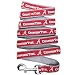 Pets First Collegiate Pet Accessories, Dog Leash, Alabama Crimson Tide, Medium