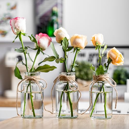 wangsdjy Vintage Glass Vases, Mason Jars for Centerpieces, Farmhouse Mason Jar Vase with Rope Design, Centerpiece Vases for Table, Wedding & Home Decor (6)