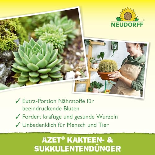 Neudorff Azet Kakteen- & SukkulentenDünger - 100% natürlicher Bio Dünger für kräftig grüne Kakteen mit beeindruckenden Blüten, 250 ml