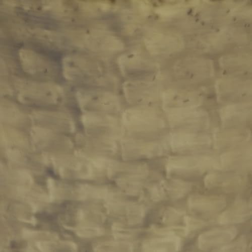 Miniatura 7 de SIMPLIHOME Garvy - Mesa auxiliar industrial de metal de 20 pulgadas de ancho en oro antiguo, totalmente montada, extremo, mesita de noche y mesita