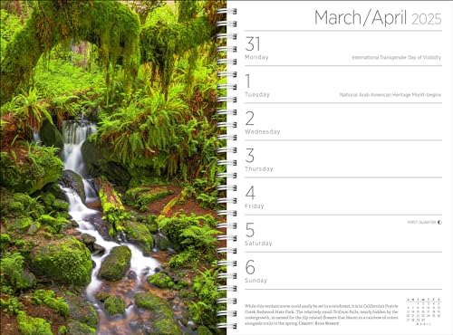 2025 Audubon Engagement Calendar: Wilderness Tribute 5 2025 Audubon Engagement Calendar: Wilderness Tribute - Image 5