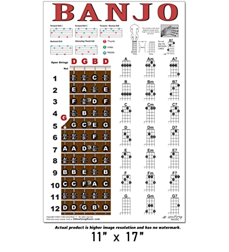 A New Song Music Banjo Easy Chords Rolls & Fretboard Note Chart Instructional Poster For Beginners Chord & Notes 11"X17" #TOP1