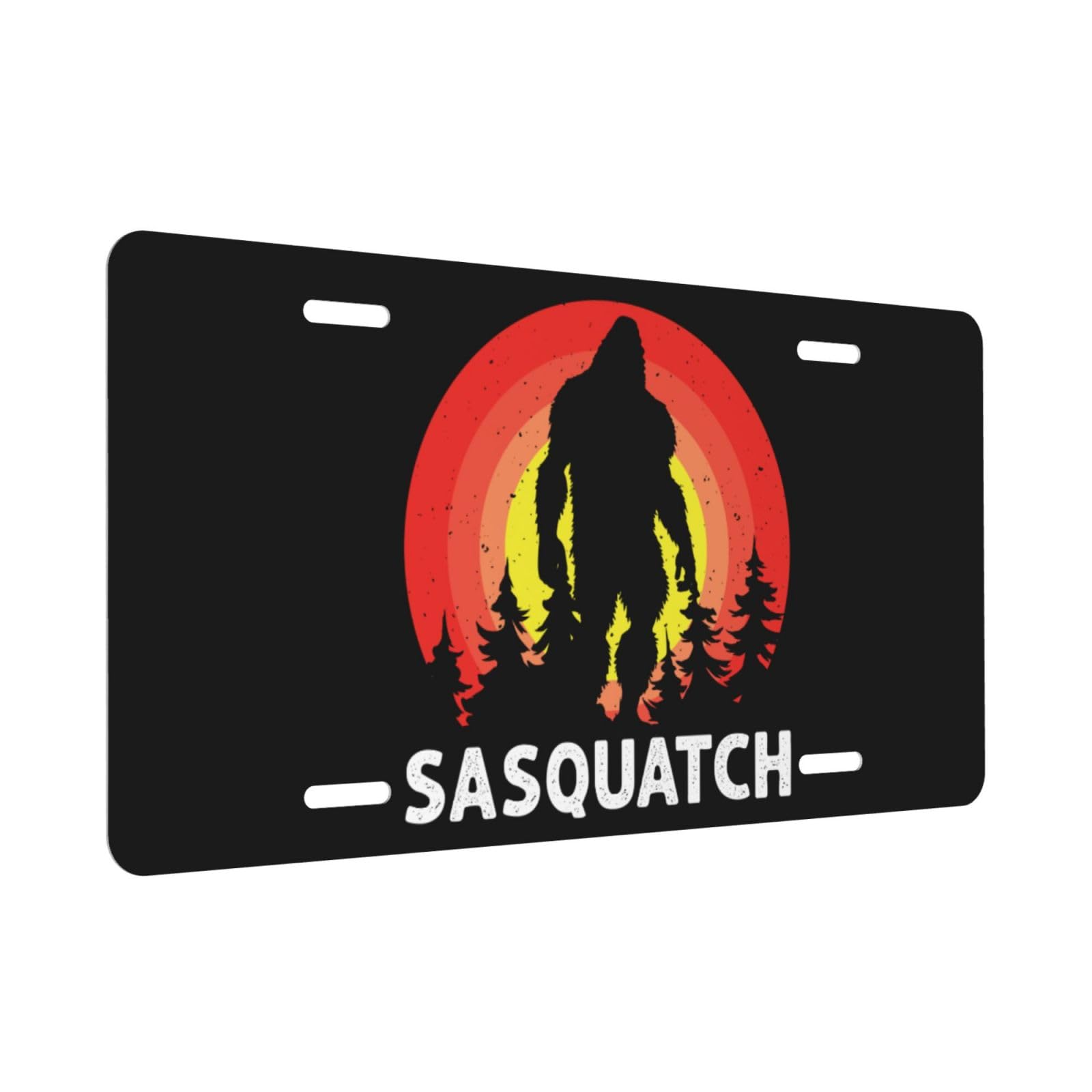 Bigfoot Research Team Frame 