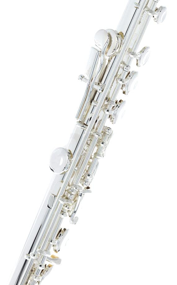SYMPHONIE WESTERWALD Fluit, ringkleppen (open kleppen), H-voet, 925 sterling zilveren kop, echt zilverplated, draagtas, fluitaccessoires, onderhoudsdienst