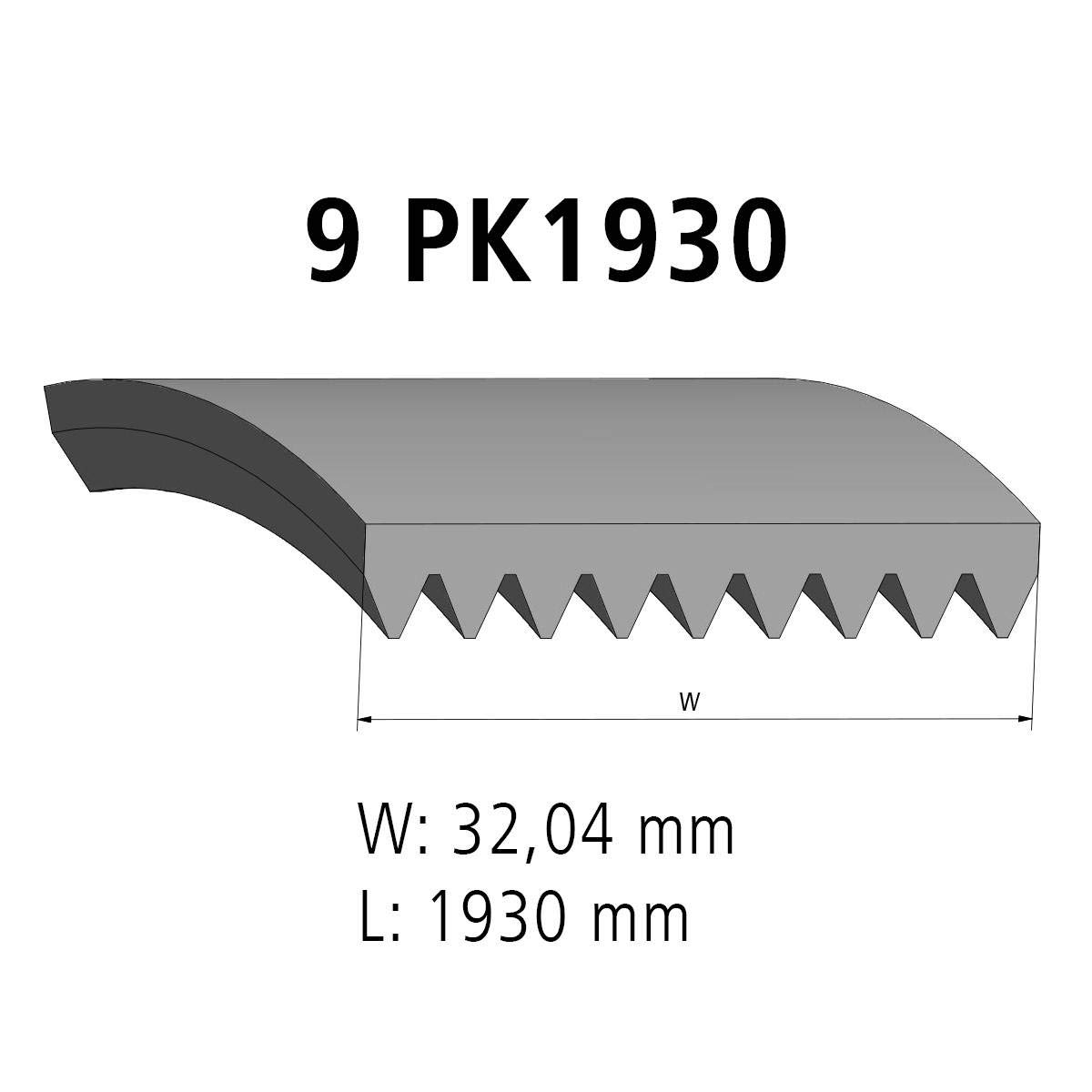 DT Spare Parts 4.80710 Cinghia servizi