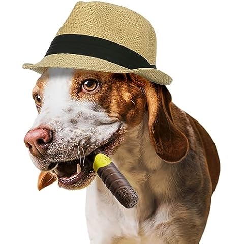 Jouet Chien Indestructible AmeizPet Cover
