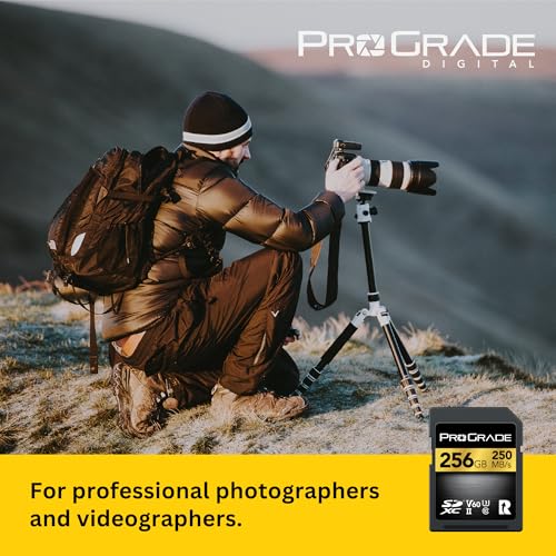 ProGrade Digital V60 256GB
