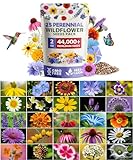 HOME GROWN Wildflower Seeds - 44,000 Non GMO USA Perennial Seeds (2oz) 19 Varieties for Butterfly & Pollinator Garden - Wild Flower Seed Mix for Full Sun & Shade