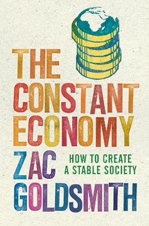 The Constant Economy: How to Create A Stable Society book cover