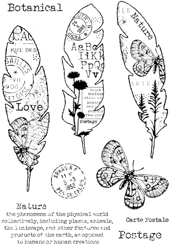 Woodware Clear Singles Paper Feathers 4 in x 6 in Stamp Set, 4 x 6 in