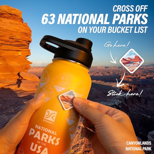 32 oz Insulated Water Bottle | Thickened Stainless Steel Vacuum Metal | Portable Sports Water Jug for Gym and Hiking with Straw, Carrier Bag, Handle Strap | BPA-Free 32 oz