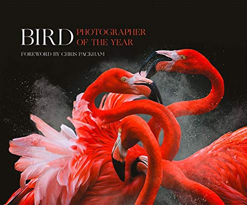 Télécharger Bird Photographer of the Year Collection PDF Ebook En Ligne