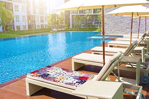 Livilan Cute Kitten Cat Microfiber Beach Towel, Oversized Soft Absorbent Quick Dry Sand Free Thin Lightweight Beach Towel, Multipurpose Cat Bath Bathroom Shower Pool Swimming Towels Cat Gift 30X60 #TOP4