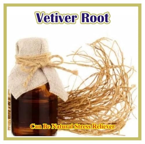 Image of Natural Dried Vetiver Roots (Khus ki Jad), 50g | Organic Lavancha Roots for Gut Cooling, Maintain Body Heat, Skin Hydration
