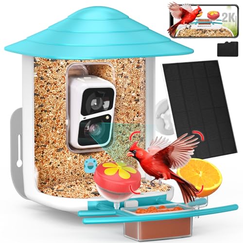 birdsnap® TUC Bird Feeder with Camera 2K HD Live with 32GB Card Auto Detect & Notify AI Identify Camera Birds Feeders Solar Powered Wireless Outdoors Backyard Gift for Mom Dad Birds Lover, 2.4G WiFi
