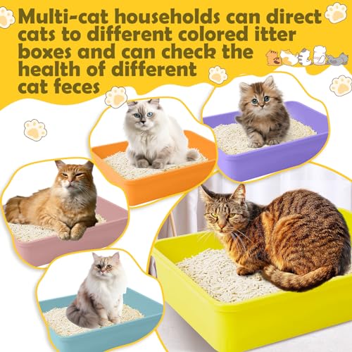 Kit 5 areneros pequeños para gatos y conejos miniatura 5