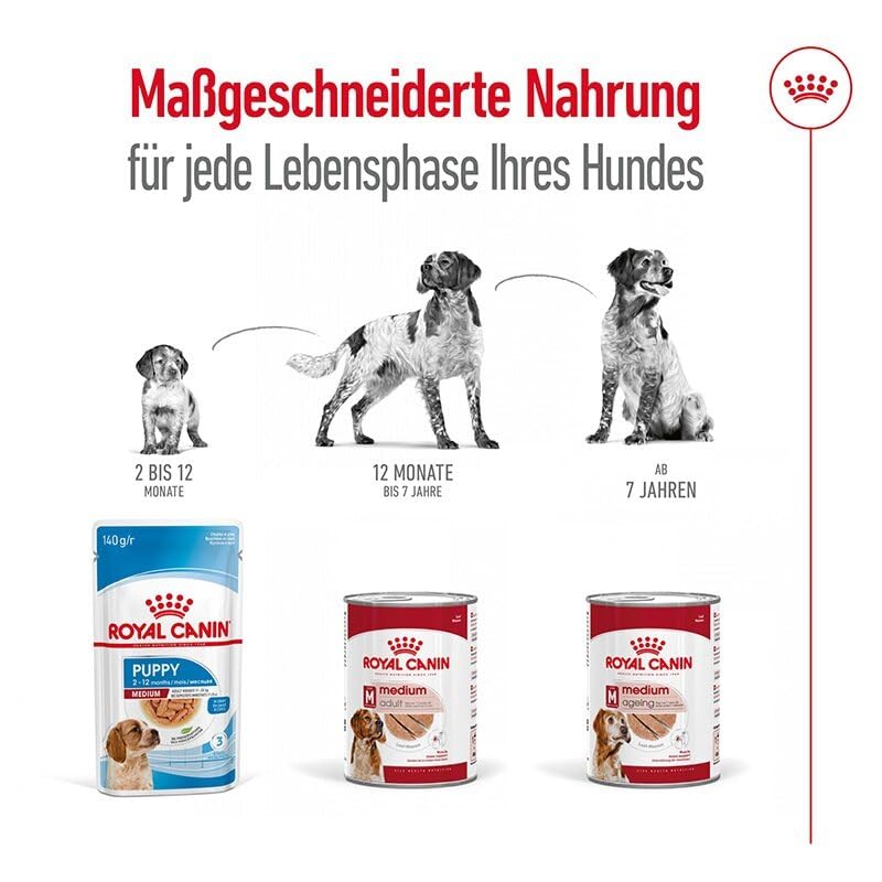 Royal Canin Medium Ageing 7+ Mousse | 12 x 410 g | Alleinfuttermittel für ältere, mittelgroße Hunde ab dem 7. Lebensjahr