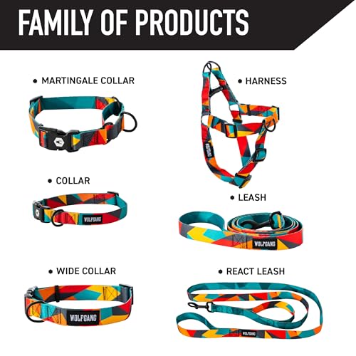 Collier martingale Wolfgang ShatterShapes pour balade grand chien - 6