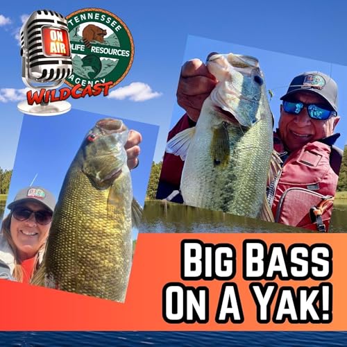 #477 Big Bass On A Yak!
