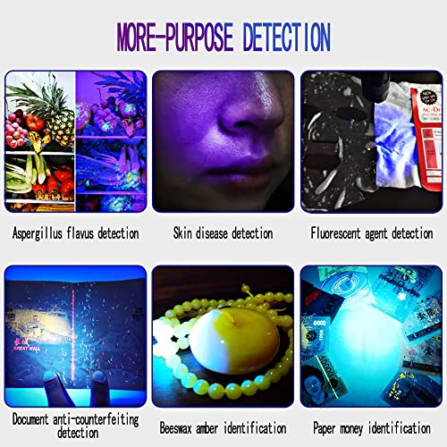 Image of UV Flashlight Black Light, 51 LED 395 nM Ultraviolet Blacklight Pet Urine Detector for Dog /Cat Urine,Dry Stains,Bed Bug, Matching with Pet Odor Eliminator