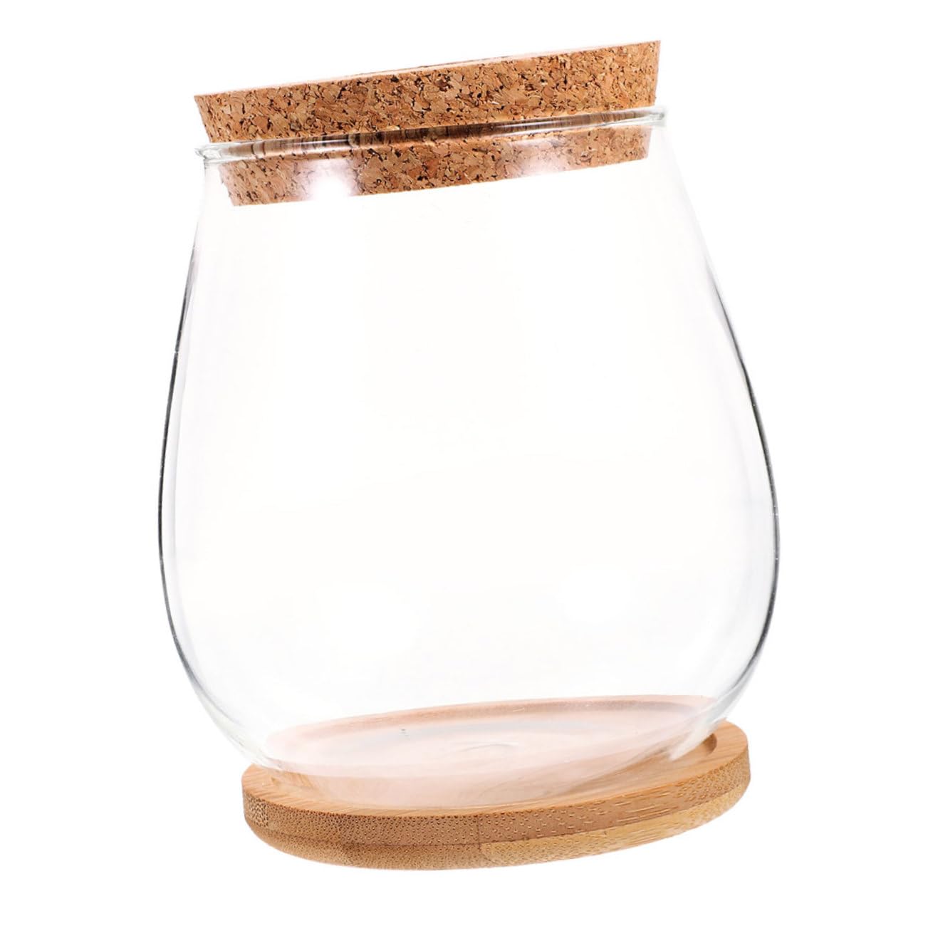 Vase hydroponique en verre pour micro-paysage et décoration de salon