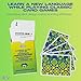Brazilian Portuguese Lingo Playing Cards | Travel Flashcards | Learn Brazilian Vocabulary in A Fun & Easy Way | 52 Essential Translations
