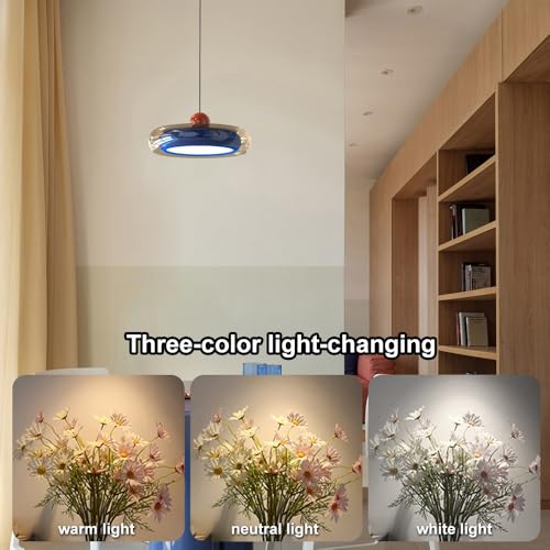 Lámpara de techo de metal y cristal transparente premium con LED de 3 tonos 6