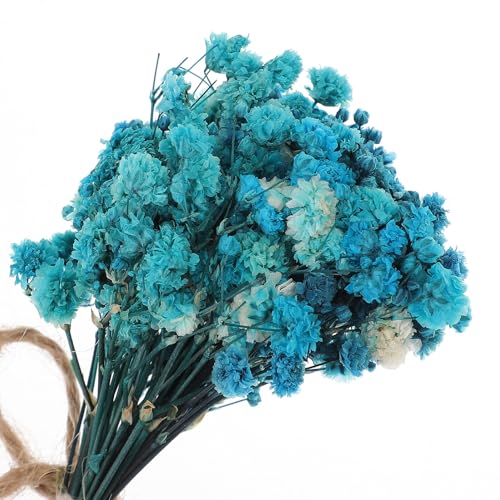 Mini Ramo de Flores Secas Set 5pcs para Decoración miniatura 7