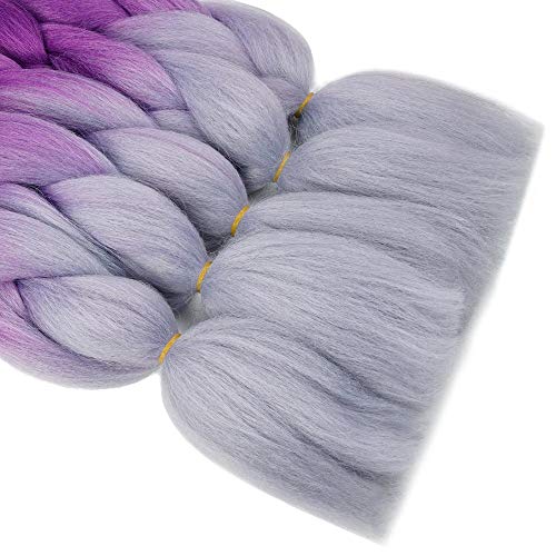 Aidusa Color Braiding Hair 5Pcs Synthetic Braid Hair Extensions 24 Inch 2 Tones For Box Braids Twist Crochet Braids 100G (#C21 Black To Purple To Gray) #TOP5
