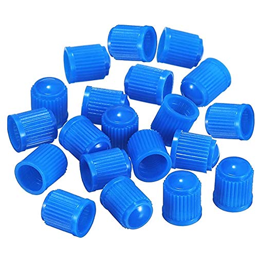 DDG EDMMS - Tapones de plástico para válvulas de neumáticos, 50 unidades, color azul