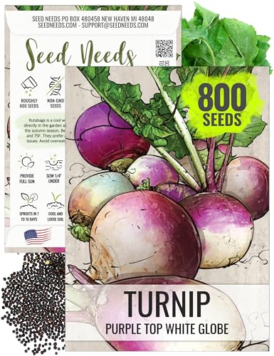 Seed Needs Purple Top White Globe Turnip Seeds to Plant Heirloom 1 Pack