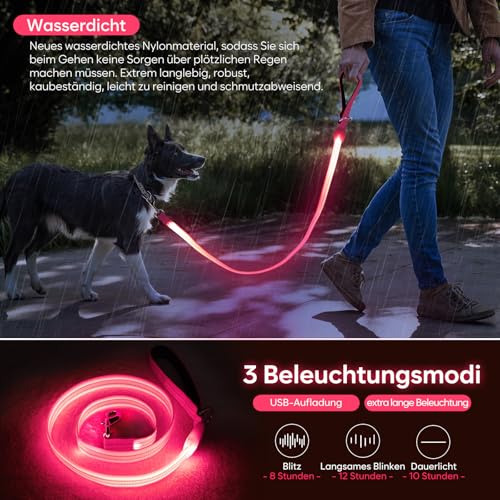 ChalkLit LED Hundeleine, Beleuchtete Hundeleine über USB Wiederaufladbar, 1,2 m, Weich Wasserdicht Reflektierend, für nächtliche Spaziergänge für große, mittelgroße Haustiere blinkende