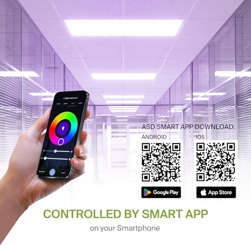 ASD 2x4 Smart RGBW LED Panels (2-Pack)