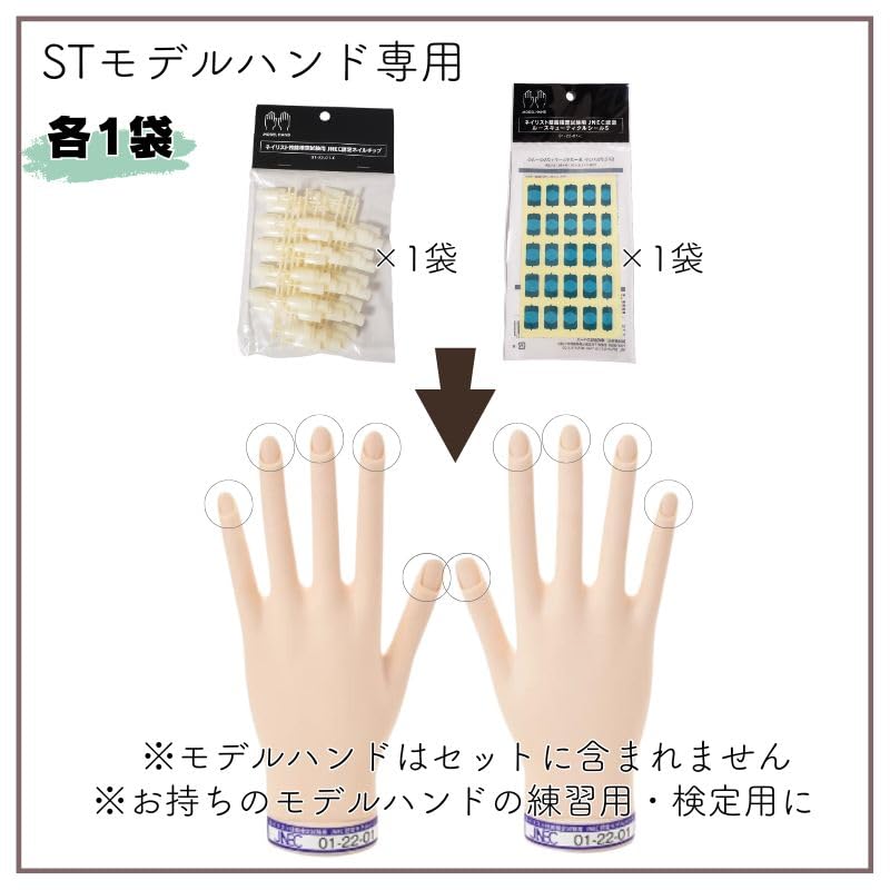 Amazon.co.jp: 【2種セット】 滝川 STモデルハンド用 JNEC認定 ネイル