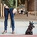 PJDDP Hundehalsband Mit Einziehbarer Hundeleine 2 in 1, Haustierhalsband Mit Schnellverschluss Reflektierende Verstellbares Hundetrainingshalsbänder Für Mittlere Und Kleine Hunde Walking/Wandern,M