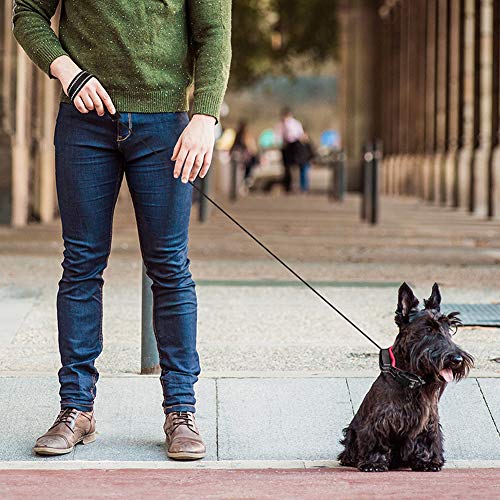 PJDDP Hundehalsband Mit Einziehbarer Hundeleine 2 in 1, Haustierhalsband Mit Schnellverschluss Reflektierende Verstellbares Hundetrainingshalsbänder Für Mittlere Und Kleine Hunde Walking/Wandern,M