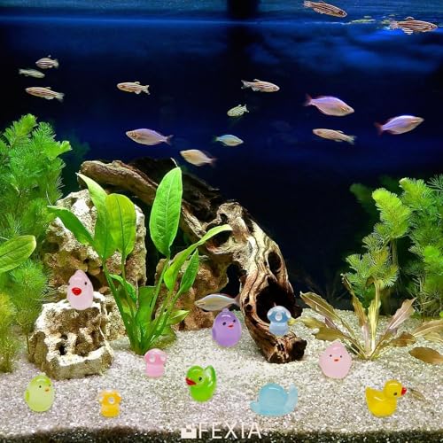 Image of FEXIA 100 Pcs Mini Resin Ducks 6 Types Bulk to Hide Luminous Mini Resin Animals Glow in The Dark for DIY Garden Combination Sets for Micro Landscape Aquarium Party Decor