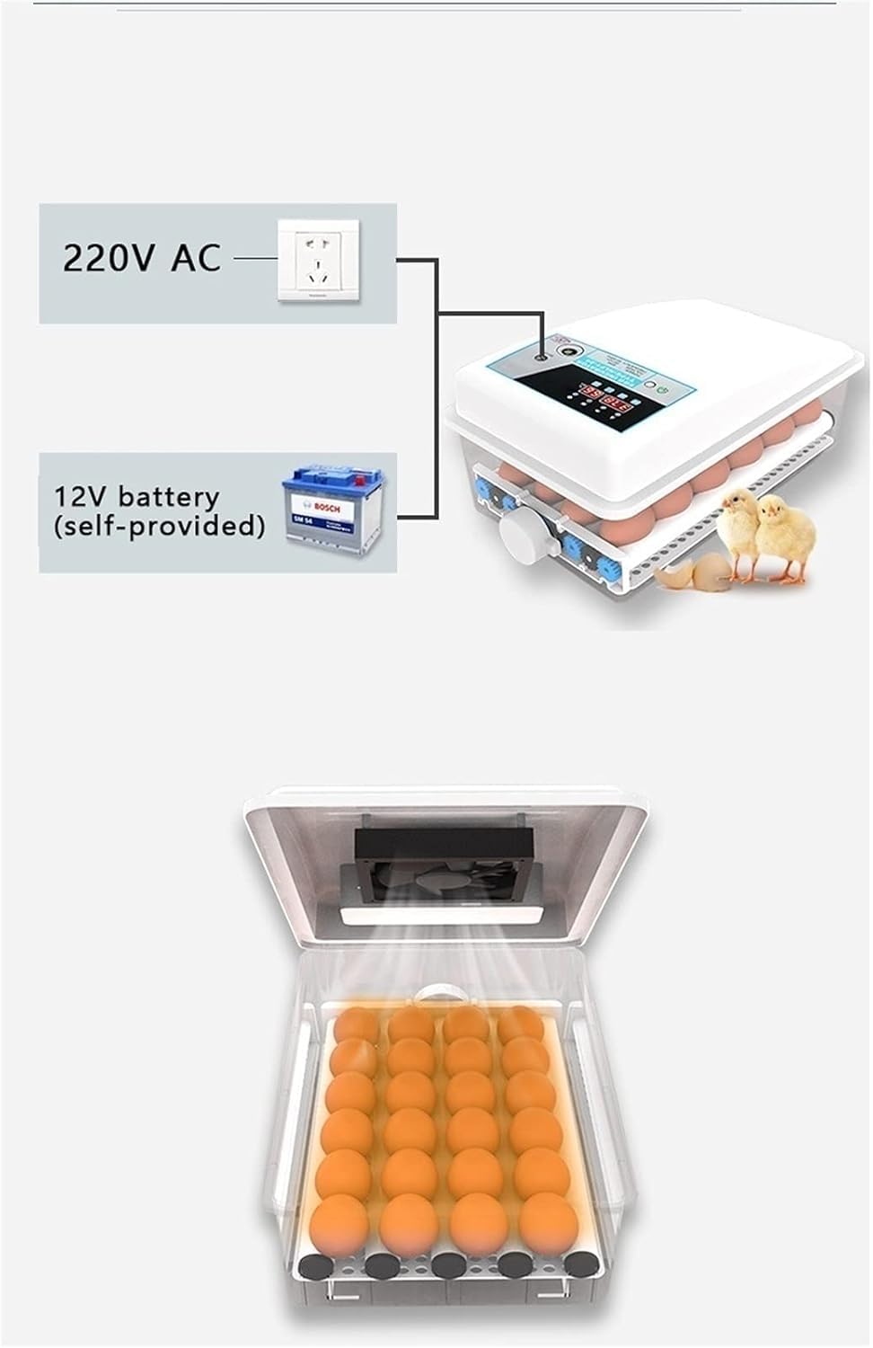 Incubadora Incubadora for Huevos de codorniz, 24 Huevos, Totalmente automática, incubadora Digital for Huevos con Control de Temperatura(Dual Power Supply)