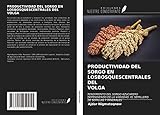  PRODUCTIVIDAD DEL SORGO EN LOSBOSQUESCENTRALES DELVOLGA: RENDIMIENTO DEL SORGO AZUCARERO DEPENDIENDO DE LA VARIEDAD, EL SEMILLERO DE SEMILLAS Y MINERALES
