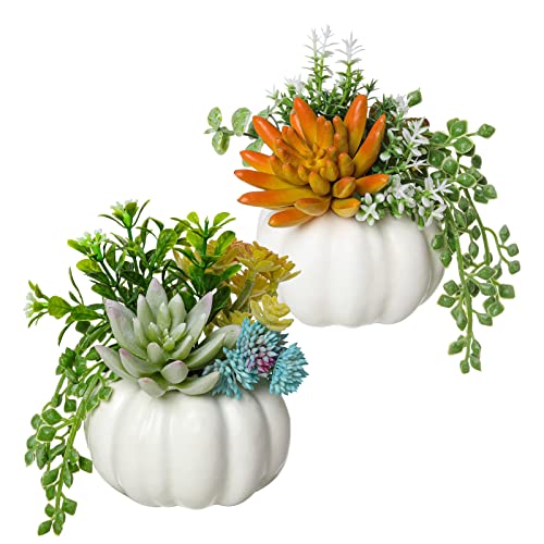 SWTHONY Set of 2 Succulent Plants Artificial, Mini Fake Succulents in Pumpkin Pots for Bedroom Aesthetic, Small Faux Succulent Plant for Desk Decorations, Livingroom, Bathroom, Office