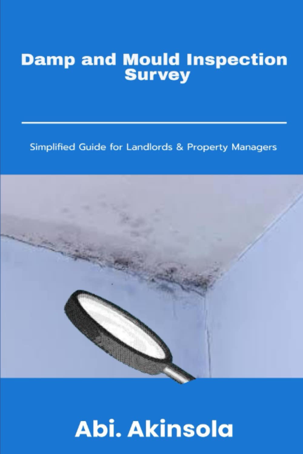 Damp and Mould Inspection Survey: Simplified Guide for Landlords and Property Managers