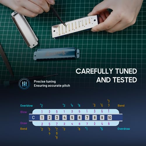 CONJURER Blues Harmonica for Adult 10 Hole Diatonic Harmonica in C Key for Beginners Professionals Phosphor Bronze Reeds Brass Deluxe Mouth Organ with Case, Key of C Blue - Les Beatles, Paul McCartney, John Lennon, RIngo Starr, George Harrison CONJURER Blues Harmonica for Adult 10 Hole Diatonic Harmonica in C Key for Beginners Professionals Phosphor Bronze Reeds Brass Deluxe Mouth Organ with Case, Key of C Blue – Image 7