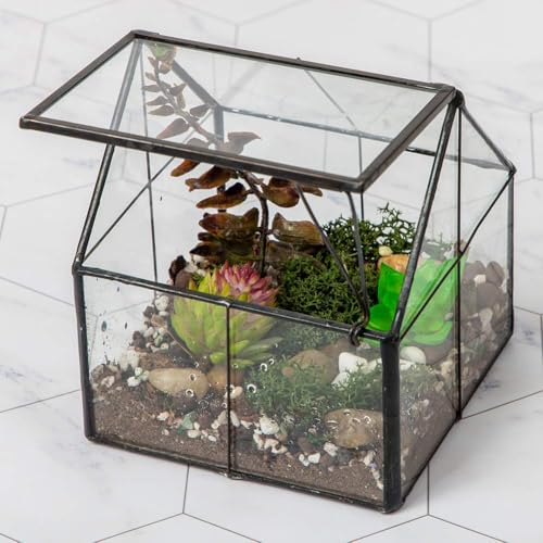 Glass Plant Terrarium Container Wardian Case Indoor Small Succulent Planter with Door for Tabletop Decor DIY (4.3L x 4.3W x 4.9H)
