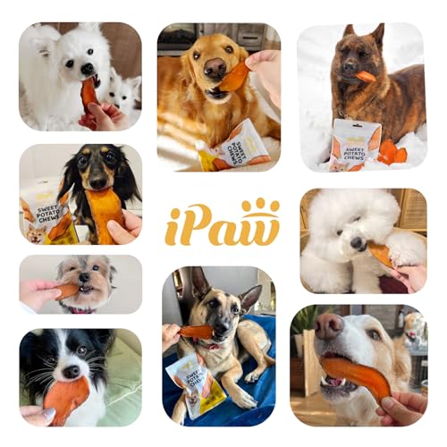 iPaw Süßkartoffel-Kauartikel für Hunde – ein einzutatiger Hundesnack für Vegetarier, 100 % natürlich in Lebensmittelqualität, ideal als Welpen-Kauartikel, Alternative zur Rohhaut, leicht verdaulich