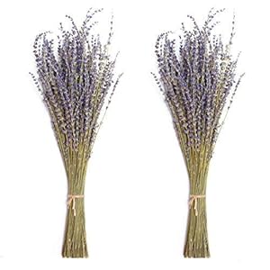 Timoo Dried Lavender Bundles 100% Natural Dried Lavender Flowers for Home Decoration, Photo Props, Home Fragrance, 2…